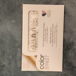 Color Street Manicure What Fun It Is